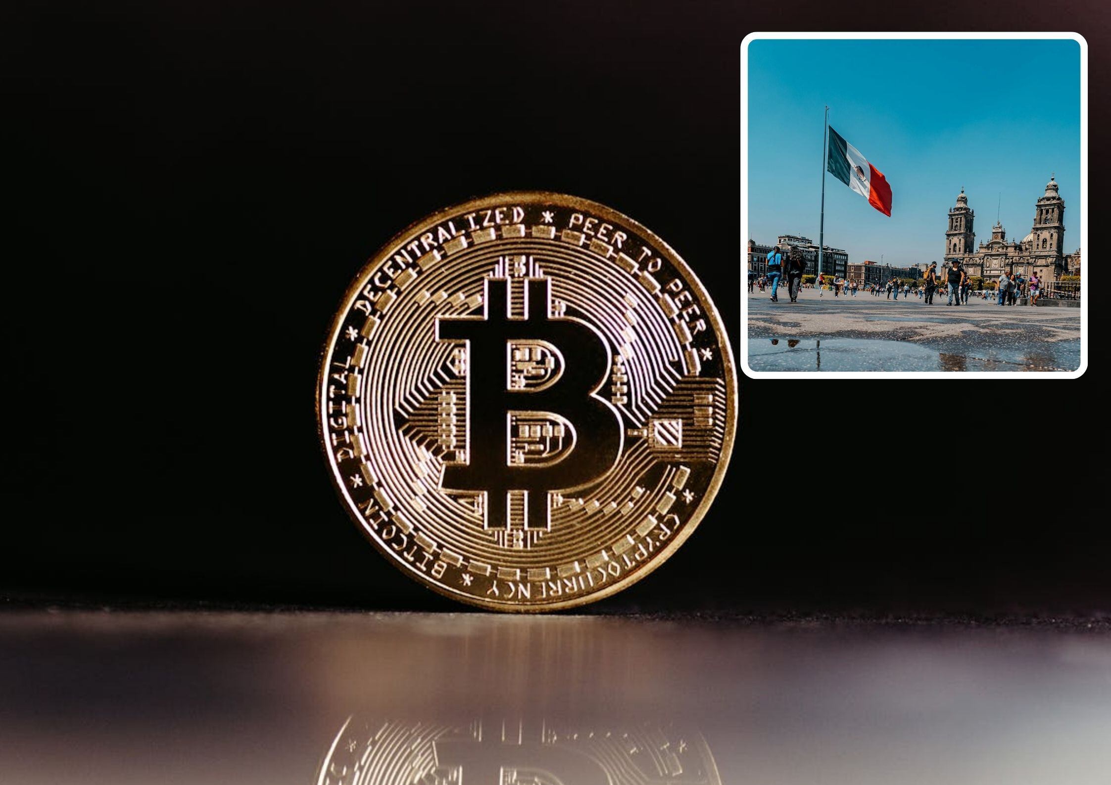 Precio y cómo invertir, las búsquedas más comunes de los mexicanos sobre  las criptomonedas: Bitso