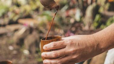 10 curiosos datos sobre la historia del cacao