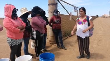 Trabajadoras de un campo agrícola de San Quintín denuncian violencia laboral 