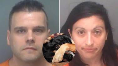 Pareja de Florida arrestada por filmar actos sexuales con su perro