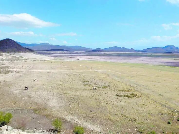 Es la falta de agua un desafío sin precedentes para productores de Sonora