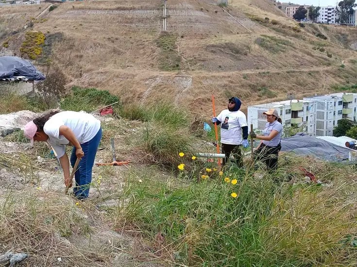 Colectivo espera localizar al menos 15 osamentas en fosa del Infonavit Cachanillas