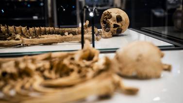 Exhibirán en Dinamarca esqueletos de la era de los vikingos