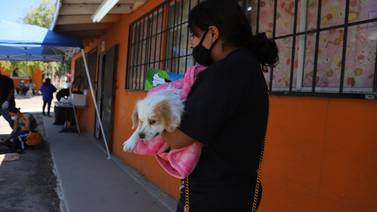 Impulsa Control Animal esterilización de mascotas 