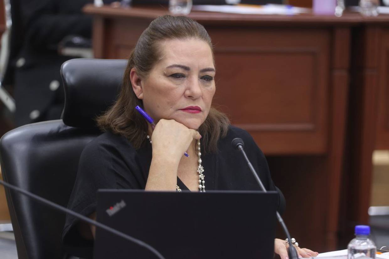 Guadalupe Taddei celebra la actualización al Padrón Electoral del INE