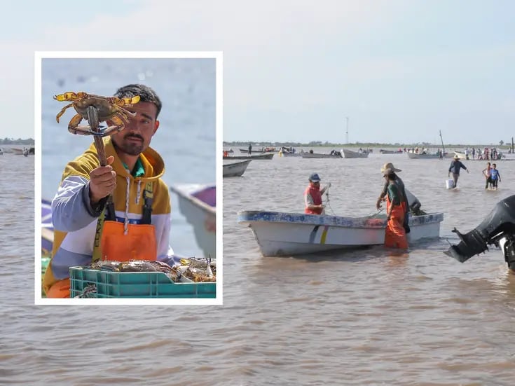 Afecta a pescadores del Sur de Sonora “pobre” temporada de jaiba