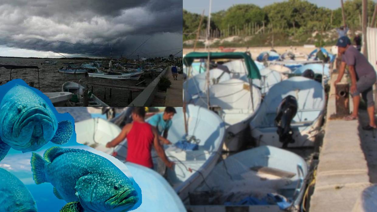 Frente frío paraliza la pesca en Mérida, Yucatán. // Foto: Especial/El Universal/Redes sociales