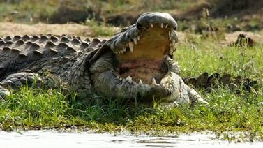 Madre lanza a su hijo de 6 años con discapacidad a un río lleno de cocodrilos tras discutir con su esposo; encontraron restos entre los dientes de uno de los reptiles