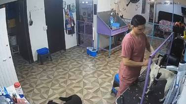 Video | Captan a empleado de estética canina golpeando a un perro mientras lo bañaba