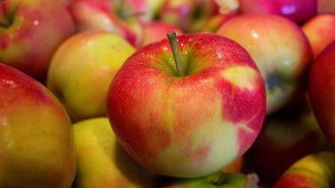 ¿Sabías que las manzanas tienen personalidad?