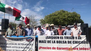 Mantienen diálogo con productores de trigo, asegura el Gobierno de Sonora