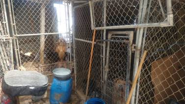Denuncian de nuevo a asociación civil por maltrato animal en Ensenada
