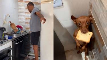 VIDEO: Perrito es sorprendido robando un pedazo de pan y su reacción se hace viral