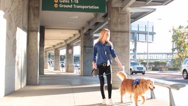 Perros de terapia certificados ayudan a viajeros en Aeropuerto de San Diego