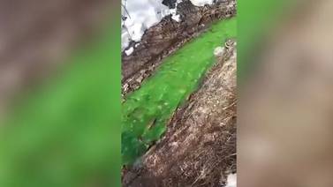 Reportan río que cambió de color a verde brillante en Rusia