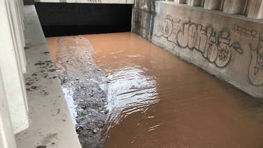 Quedan atrapados en arroyo de Nogales por lluvia; los rescatan