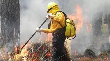 Más de 90 incendios activos en 18 estados de México: Conafor 