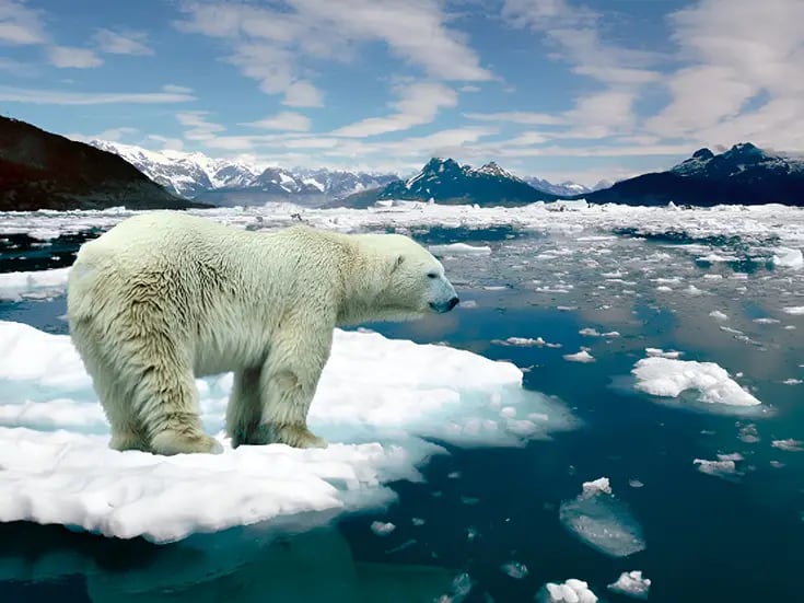 Cambio climático: La ciencia desmiente 4 mitos comunes