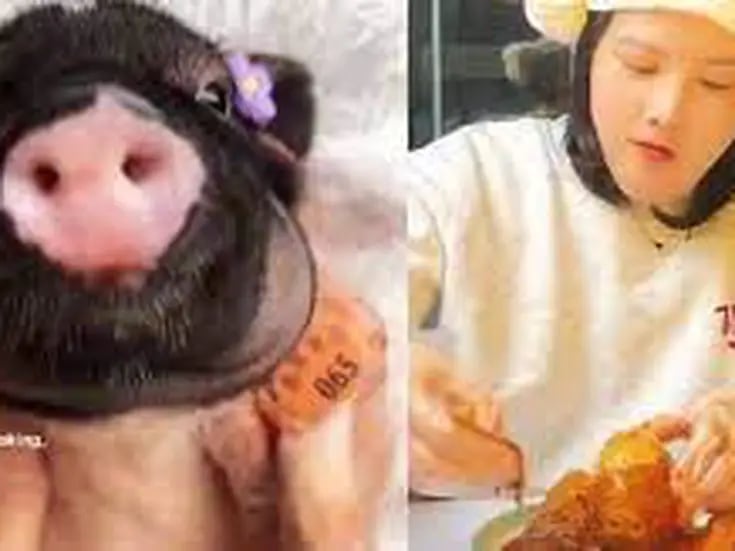 Mujer asiatica genera controversia por masajear a cerditos antes de cocinarlos y consumirlos 
