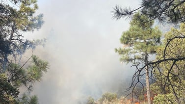 Incendios en Sierra de Juárez y Ojos Negros son combatidos por bomberos y Conafor