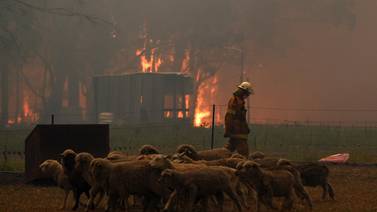 Altas temperaturas en Australia tras "catastrófico" incendio 