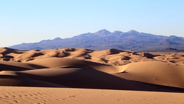 El Desierto de Sonora "derrite" récord de calor