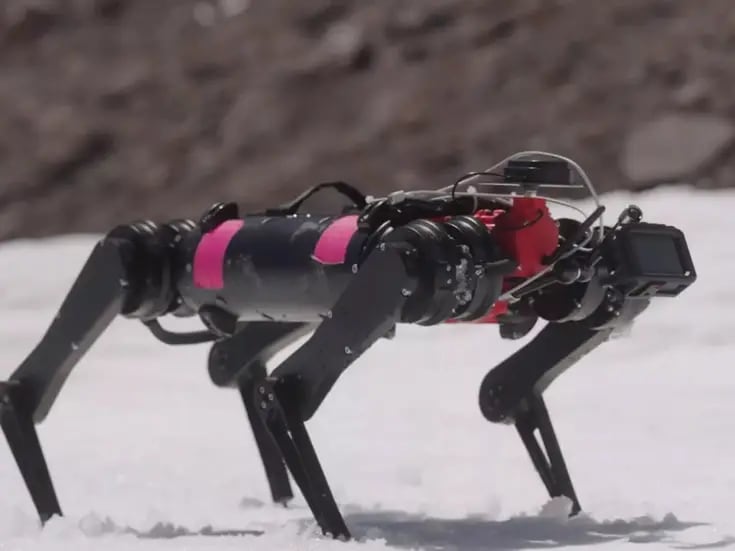 Spirit, el perro robot entrenado para conquistar otros planetas