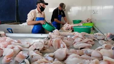 Muestran pescaderías de Obregón 60% más ventas por Semana Santa