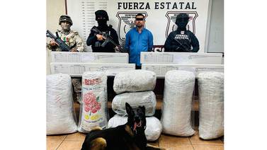 Detienen en Tecate a hombre con armas y mariguana