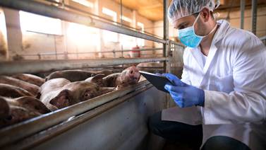 Día del veterinario: Clave para mejorar la calidad de los alimentos de origen animal en México