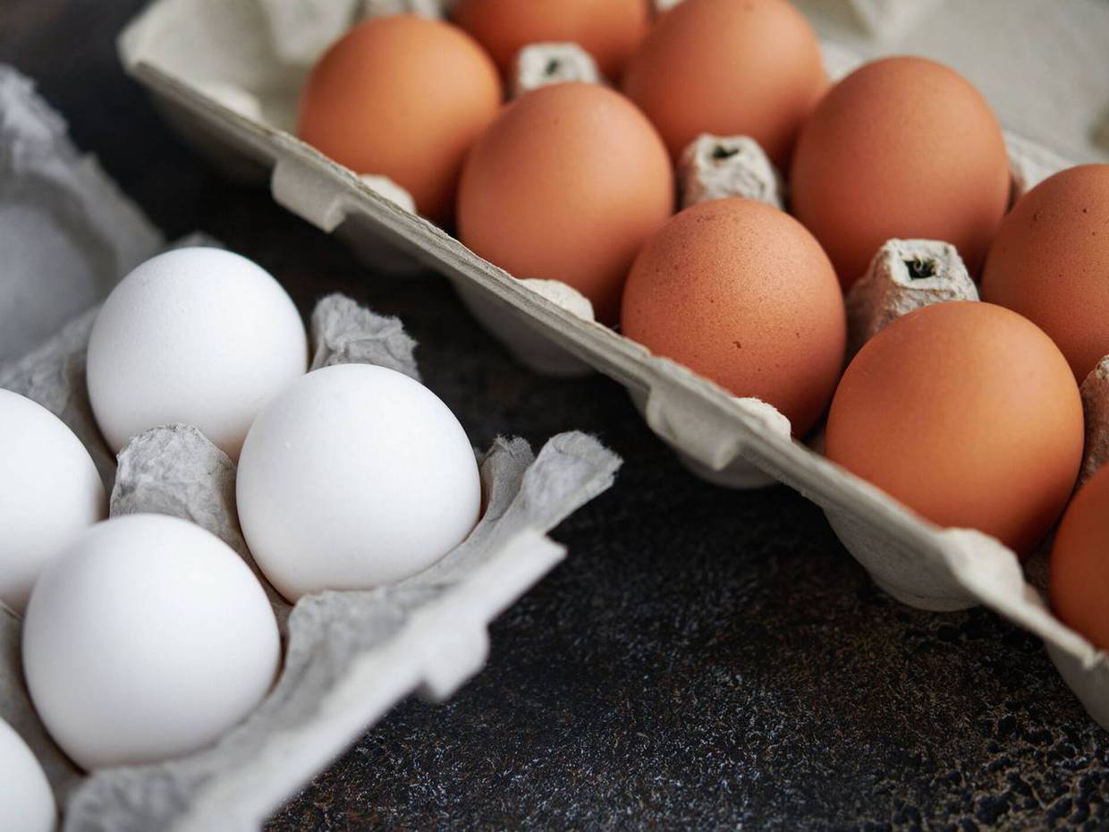 La recomendación para adultos es consumir al menos 1 huevo al día.