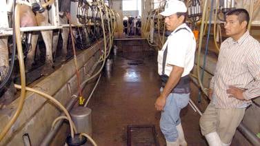 Baja la producción de leche en Sonora