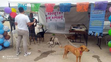 Promueven en Rosarito adopción responsable de mascotas