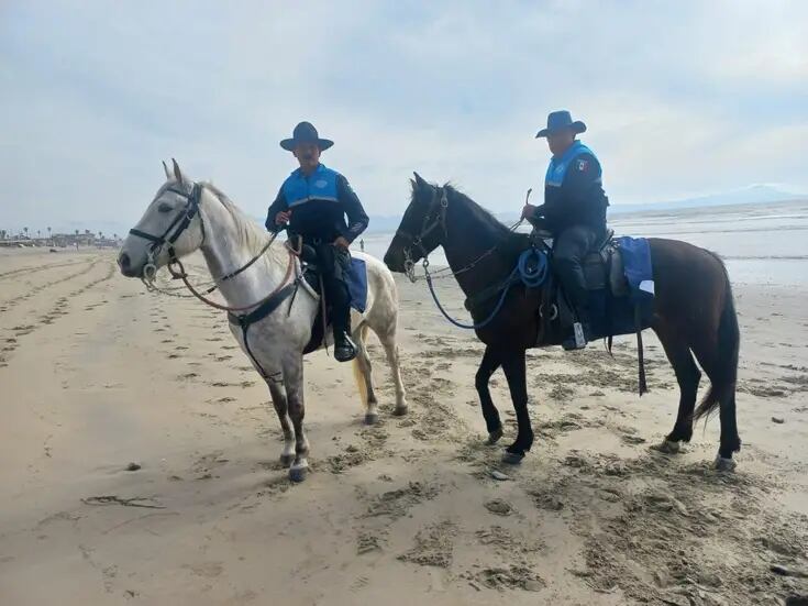 Policías a caballo apoyarán a turistas de Ensenada