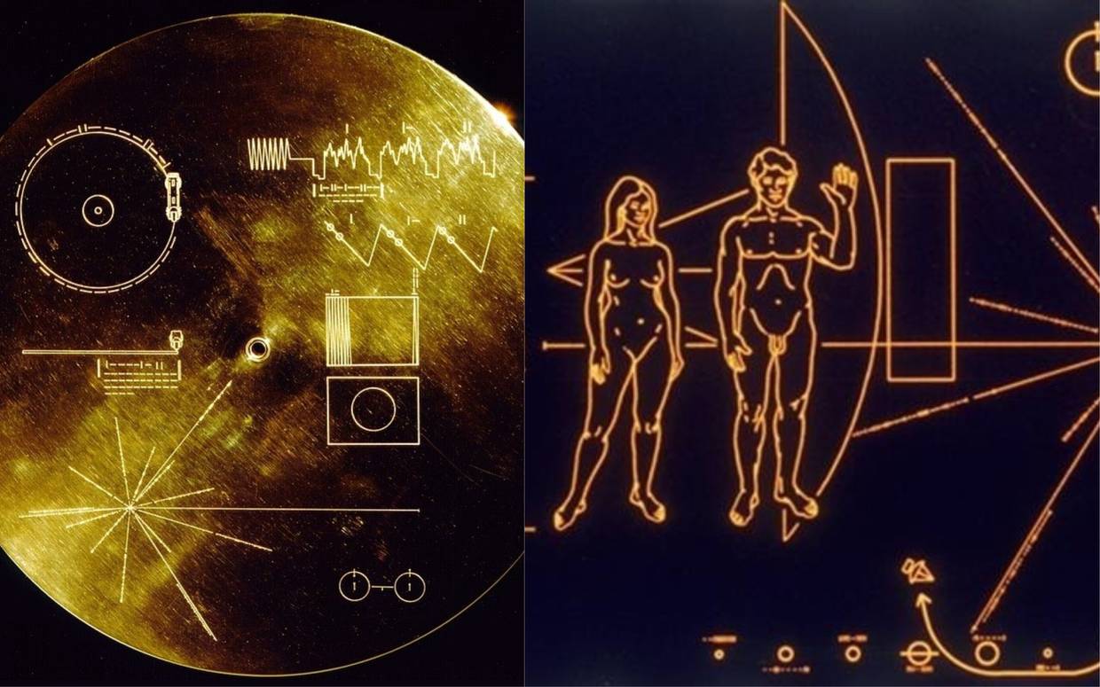 El mensaje contenido en el Disco de Oro de las Voyager está diseñado para ser lo más comprensible posible para cualquier forma de vida inteligente.