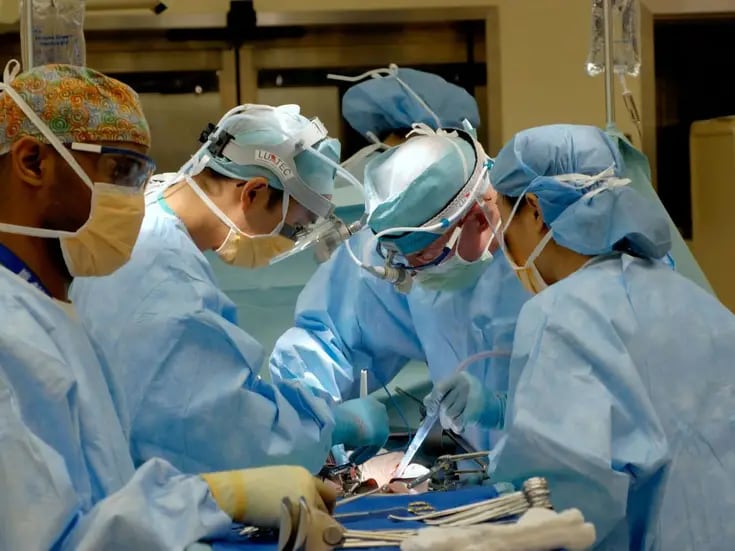 El primer trasplante de riñón de cerdo a un ser humano vivo se realizó con éxito