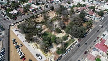 Detectan plagas en árboles del Parque Revolución en Ensenada