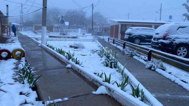 Intensa nevada en Mesa Tres Ríos tras paso de la octava tormenta invernal por Sonora 