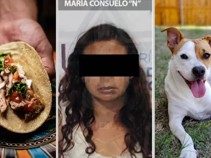 Detenida ‘mataperros’ por vender tacos de perro en Puebla