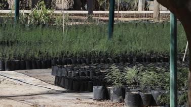 Hermosillo: Vivero Municipal tendrá plantas listas para donar en agosto
