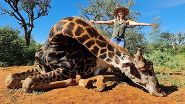 Mujer mata a jirafa, le saca el corazón y lo presume en redes sociales