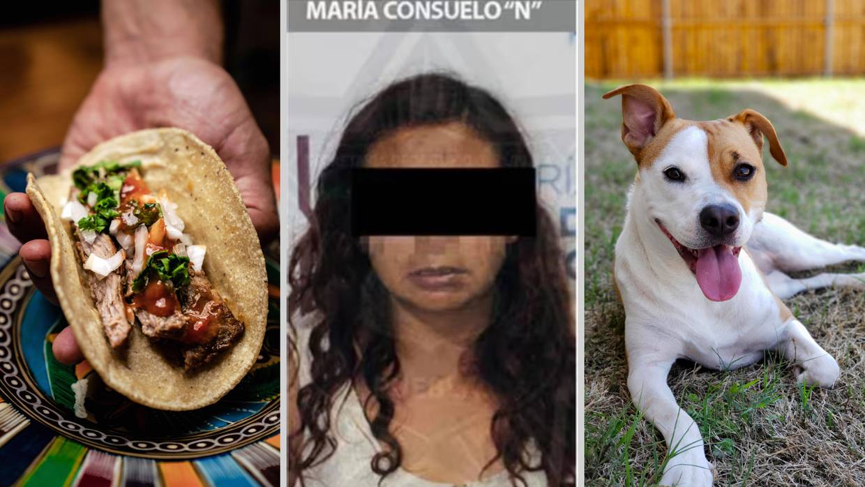 Cuatro años después de ser descubierta con tres refrigeradores llenos de cadáveres de animales, María Consuelo ‘N’, es detenida por maltrato animal en Puebla. Foto: Especial