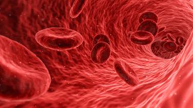 ¿Qué es la Hemofilia y cómo tratarla?