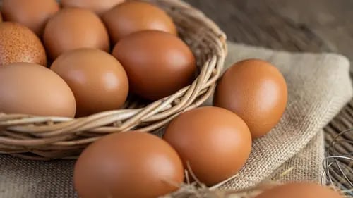 Se anuncia aumento de precio en el huevo en este mes de mayo