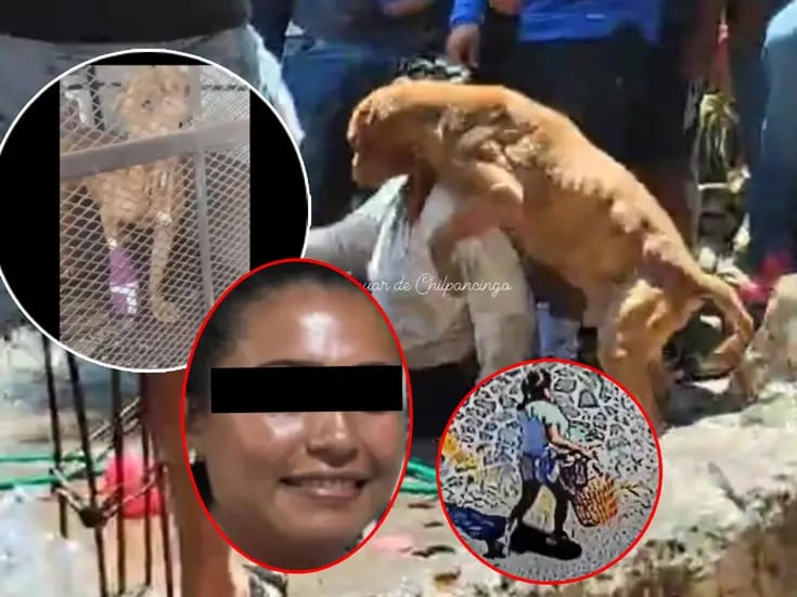 Perro de secuestradora de Camila la defendió en linchamiento y resultó herido