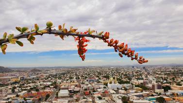Yoduro de plata para combatir la sequía en Sonora: Crece probabilidad de lluvias al bombardear nubes en Sonora