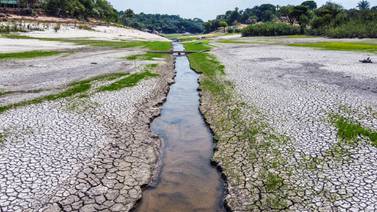 Extrema sequía revela restos arqueológicos en la Amazonía brasileña
