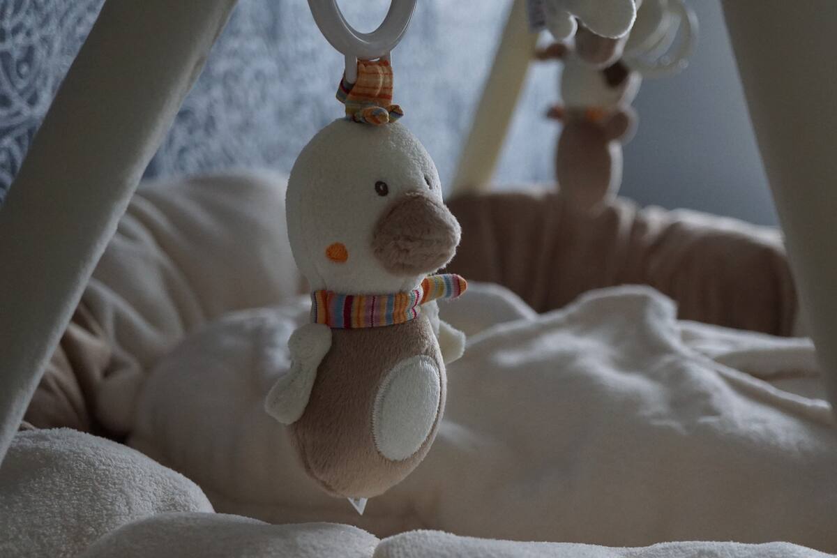 Pandemia de Covid-19: Embarazos en adolescentes aumentaron un 30%