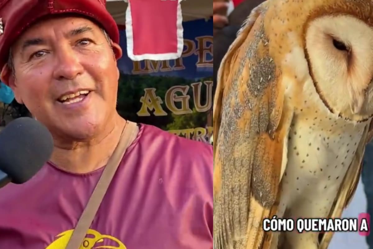 “Urge educar a México” Hombre muestra cómo rehabilita aves que sufrieron maltrato y violencia para ayudarlas a recuperar su libertad