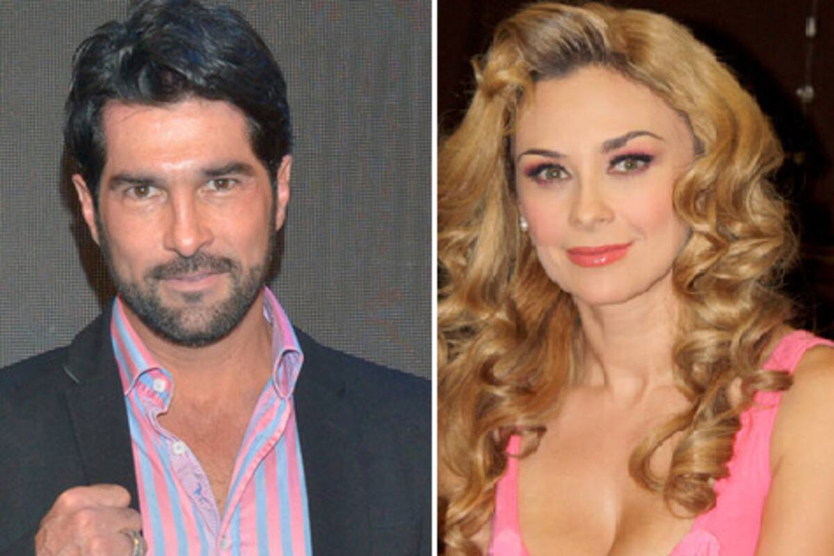 Arturo Carmona sale en defensa de Aracely Arámbula tras enfrentamiento con la prensa